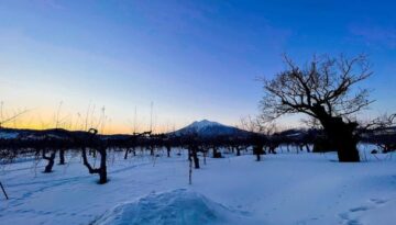 150310474_3709373282479499_3280321975403065943_o